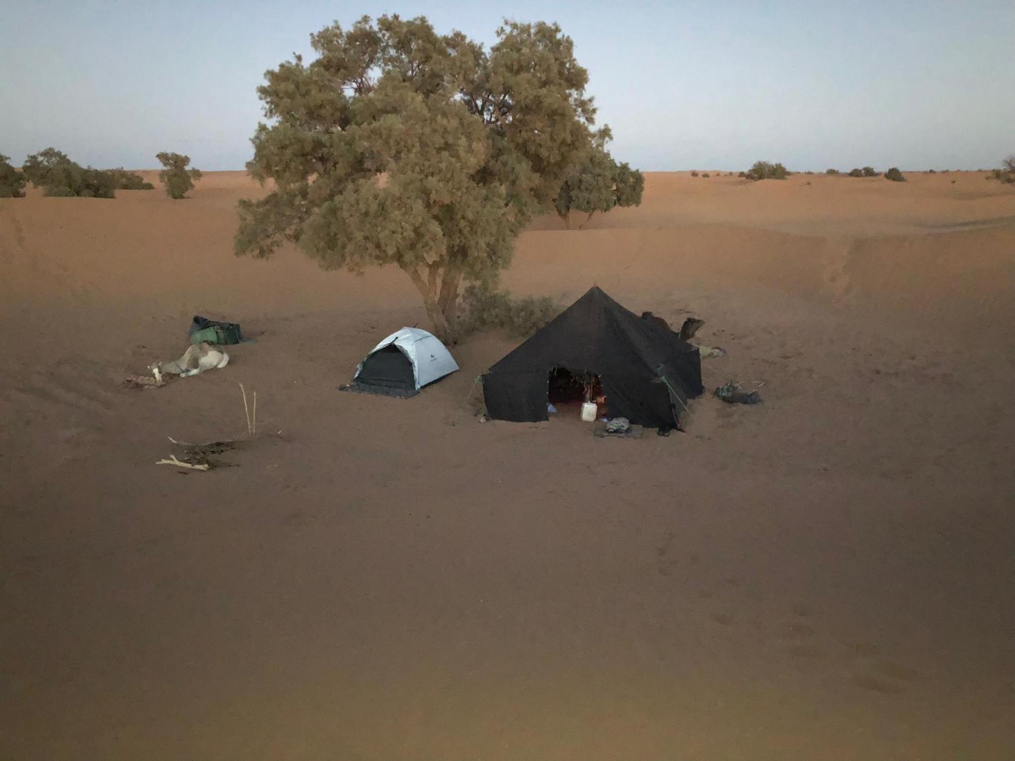Nomads Life Style Otel M'Hamid Dış mekan fotoğraf