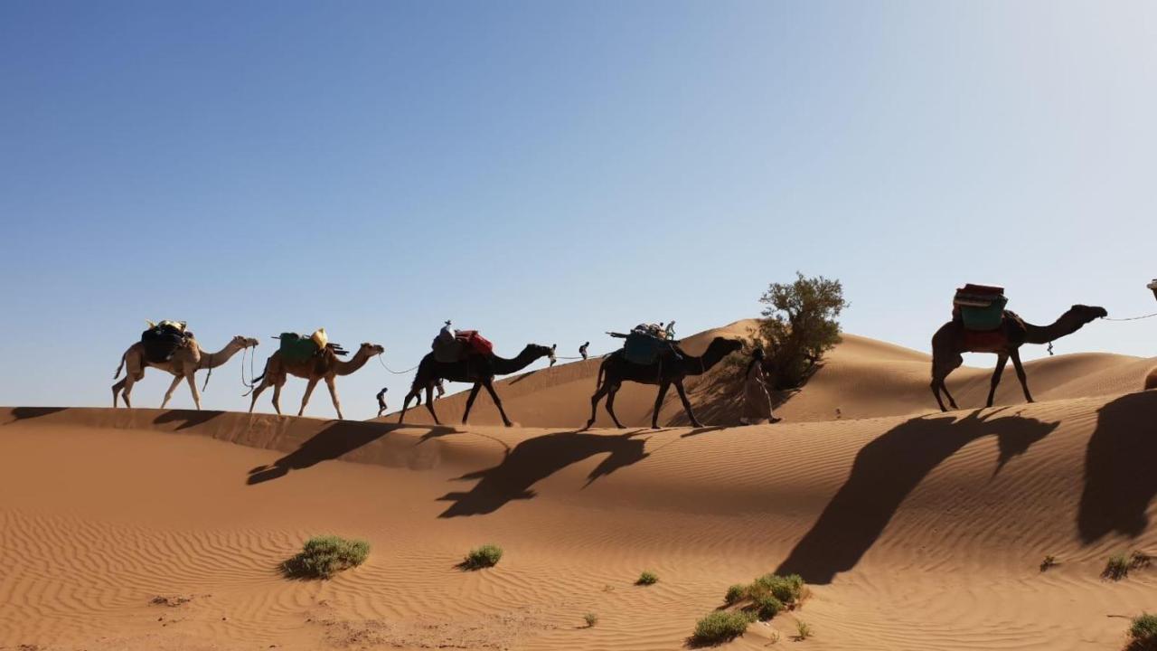 Nomads Life Style Otel M'Hamid Dış mekan fotoğraf